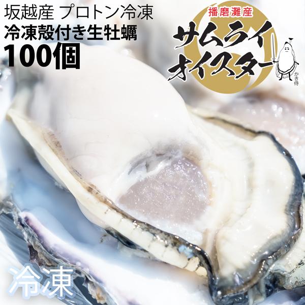 坂越かき　冷凍殻付牡蠣100個 (加熱用) ★驚きのぷりぷりで美味しい牡蠣♪ 熱を加えても縮まない魔法の牡蠣。