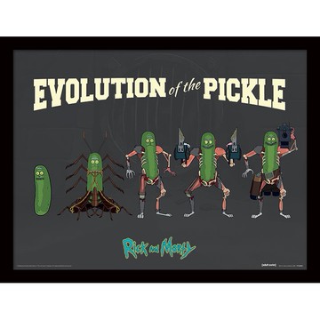 【瑞克和莫蒂】Rick and Morty - 黃瓜進化史 含框複製畫