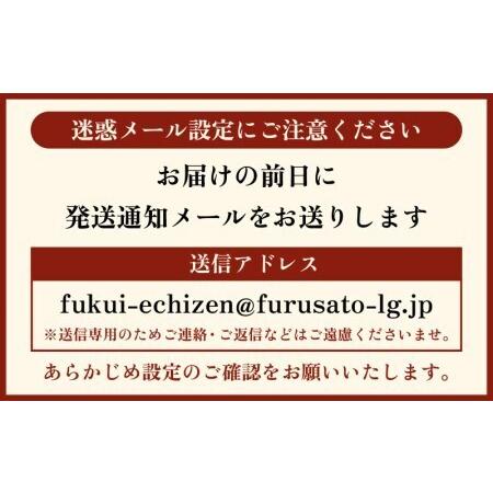 ふるさと納税 浜茹で5杯セット　11〜12月順次発送 [e56-x002] 福井県越前町