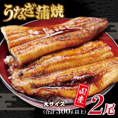 ふるさと納税 泉佐野市 大サイズ 国産うなぎ 2尾 合計300g以上 099H1788