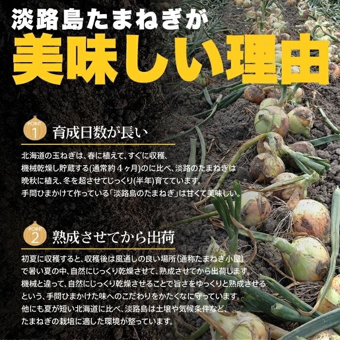 送料無料 淡路島玉ねぎスープ30包 スープ 個包装 簡単調理