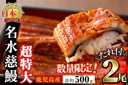 鹿児島県産うなぎ蒲焼 名水慈鰻 超特大サイズ２尾(1尾あたり236~270g)＜計約500g＞ a8-059