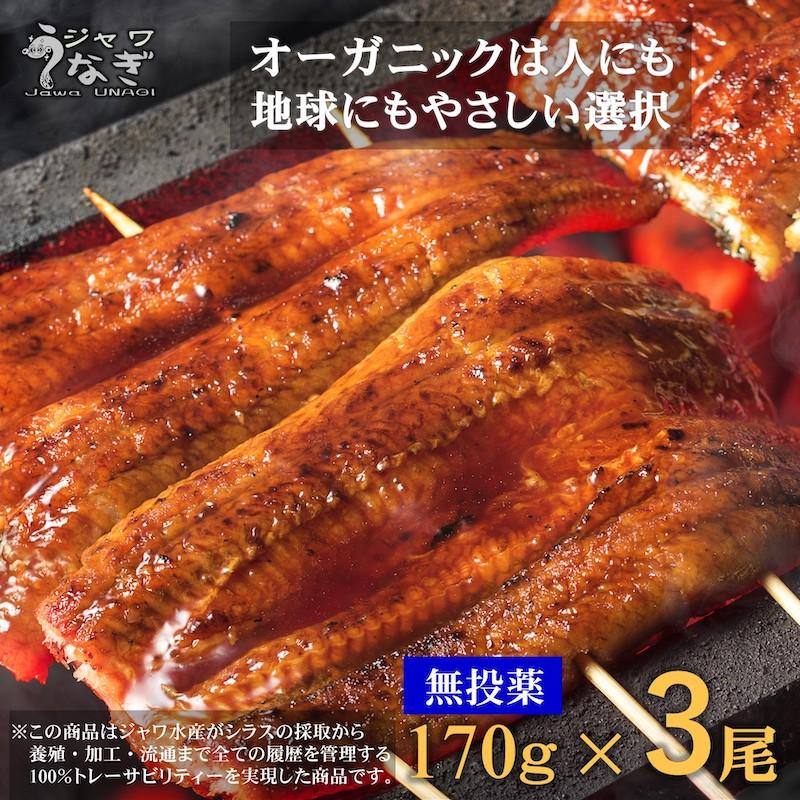 鰻 うなぎ 蒲焼き 170g 3本 敬老の日 2023 ギフト グルメ 誕生日 プレゼント お祝い 内祝い ひつまぶし 食品 食べ物 おすすめ