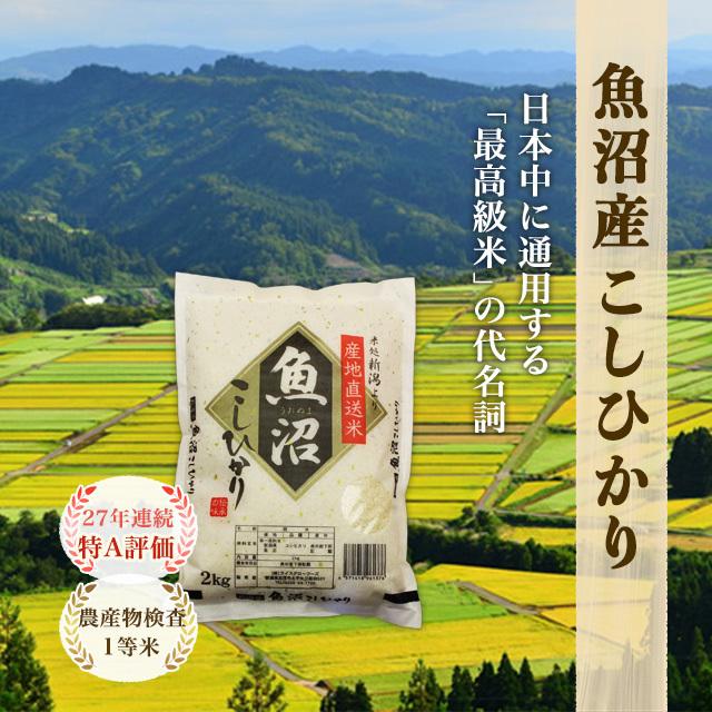 令和5年度産 新米 魚沼産 こしひかり 4kg 送料無料 新潟県 お米 4キロ