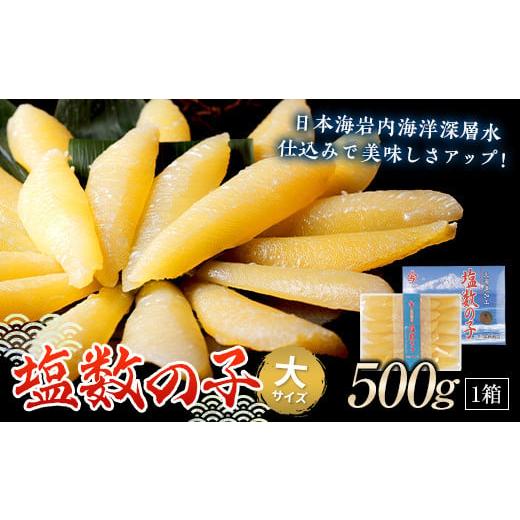 ふるさと納税 北海道 岩内町 塩数の子（大サイズ）500g（2023年11月下旬〜12月下旬までに発送）※クレジット決済限定 F21H-426