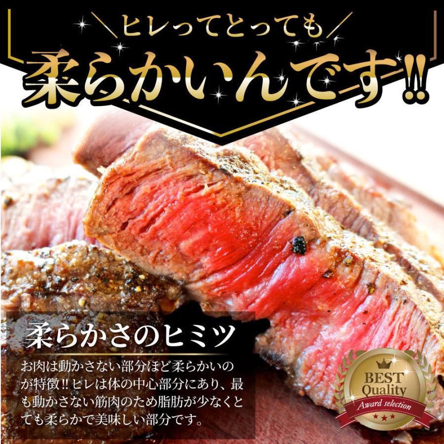 牛肉 ヒレ ステーキ 詰め合わせ 100g×20枚セット 赤身 牛 ヒレ肉 バーベキュー BBQ グルメ お歳暮 ギフト 食品 プレゼント キャンプ キャンプ飯