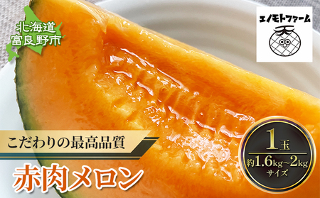 北海道 富良野産 赤肉メロン 1玉 1.6kg～2kgサイズ ふらの メロン ギフト 果物 赤玉(榎本農園)