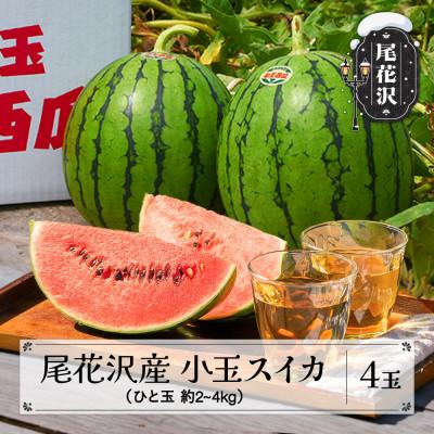 ふるさと納税 尾花沢市 尾花沢産小玉スイカ(約2〜4kg)×4玉 令和6年産 観光物産 kb-sukxx2-7b