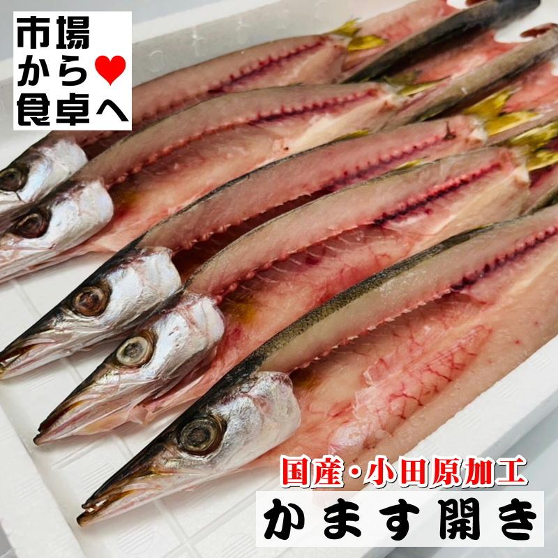 かます干物 10枚(1枚約110g)こだわりの手開き、地元でも愛され長く干物づくりを行っています