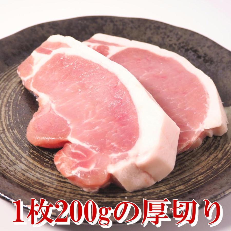 JAPANX 厚切り ロース とんかつ 豚肉 1kg(200g×5枚) 宮城 国産 ジャパンエックス ギフト お歳暮 お中元　かつ丼 トンカツ