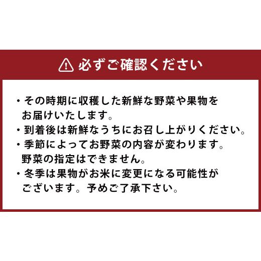 ふるさと納税 熊本県 菊陽町 菊陽町特産品 「野菜・果物などの詰め合わせ」 ／ 新鮮 詰合せ フルーツ セット 熊本県 特産品