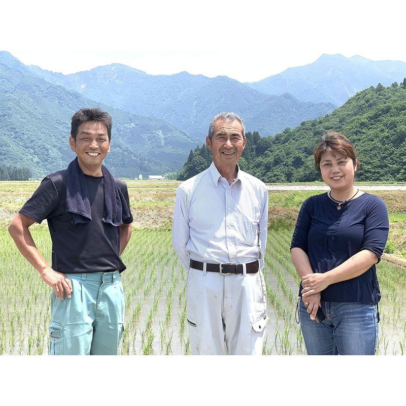 精米 いしざか農園 いしざかさん家の塩沢産従来品種 コシヒカリ 慣行栽培 5kg 南魚沼産