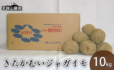 北海道産 じゃがいも きたかむい 約10kg Lサイズ ジャガイモ キタカムイ 馬鈴薯 いも ポテト 常備野菜 根菜 産直 国産 日本産 JAようてい 送料無料 北海道 倶知安町