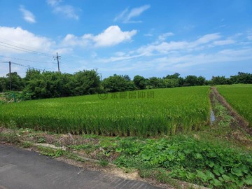 新屋美農地｜桃園市新屋區木康榔段下木康榔小