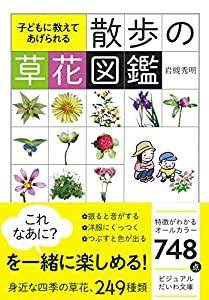 子どもに教えてあげられる 散歩の草花図鑑