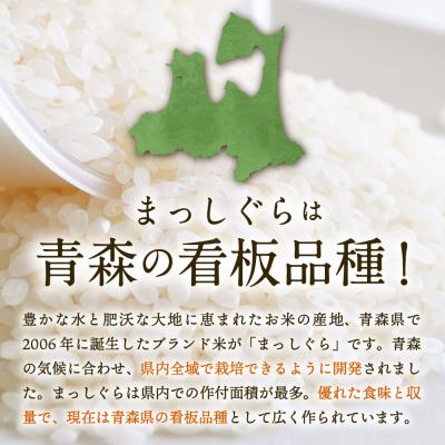 ふるさと納税 五所川原市 無洗米 10kg 青森県産 まっしぐら  定期便3回 10kg×3回