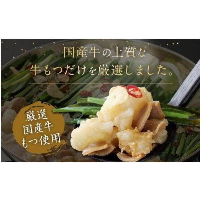 ふるさと納税 福岡県 福岡市 博多もつ鍋食べ比べセット（醤油・味噌）