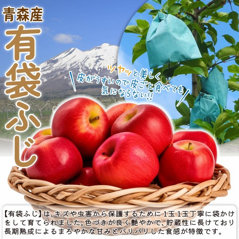 高級感 青森産 約3kg りんご 有袋ふじ LINE | 国華園 フルーツ 林檎 果物