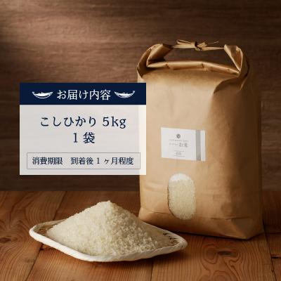 ふるさと納税 焼津市 令和5年産新米 30年間無農薬・無肥料のお米(白米)コシヒカリ5kg(a21-037)