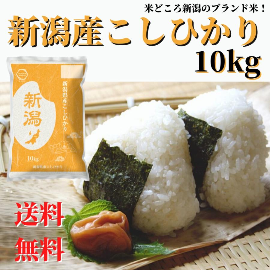 新米 令和５年産 お米 10kg 送料無料 新潟産 コシヒカリ 玄米