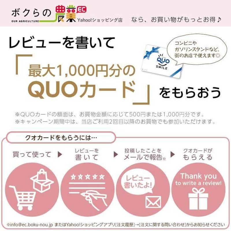 2周年記念イベントが 住化農業資材 末端止め ワンタッチストッパー 10個