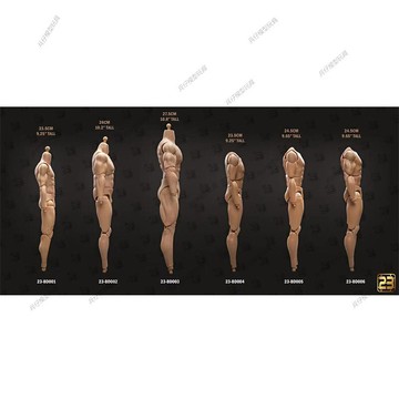【台灣出貨】 23TOYS 1/6 23 BD001-BD006 男兵人素體 不含手型腳型 兵人配件