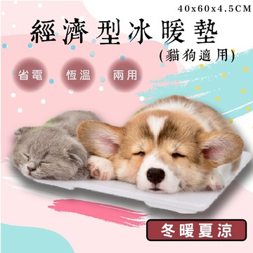 狗狗貓咪都愛**Beetle 經濟型冰暖墊 夏季降溫5度&冬季自動恆溫 經濟節能 涼蓆 寵物床 寵物墊 睡覺 貓狗寵物