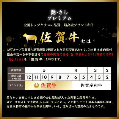 ふるさと納税 大町町 佐賀牛ヒレ焼肉用(切落し)600g OM0003