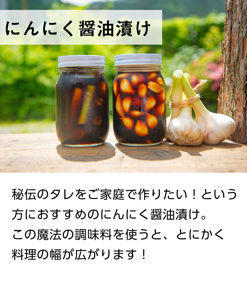 青森 にんにく1kg Mサイズ 約20玉 福地ホワイト6片 国産 ニンニク 新物 送料無料 Y常