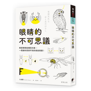 眼睛的不可思議：解密眼睛結構與光線，一窺讓你意想不到的視覺奇蹟！