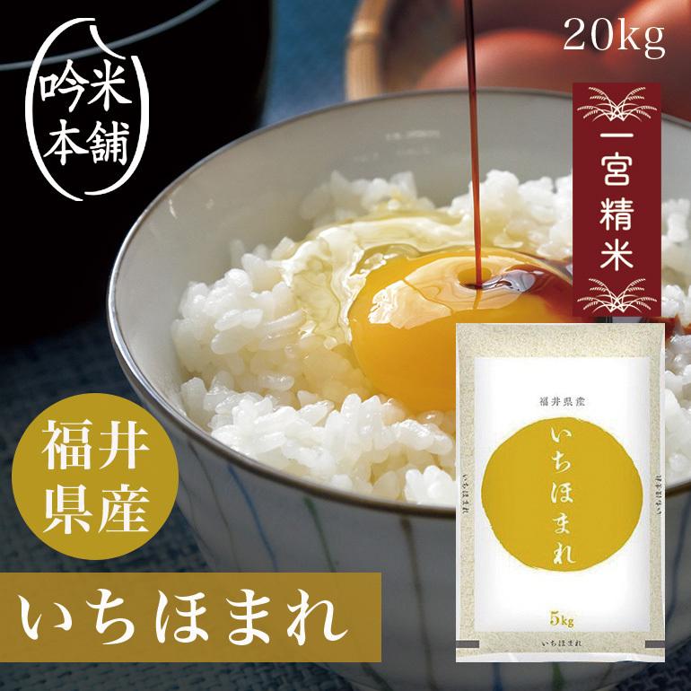 いちほまれ 米 20kg 送料無料 福井県産 一宮精米 5kg×4 令和5年