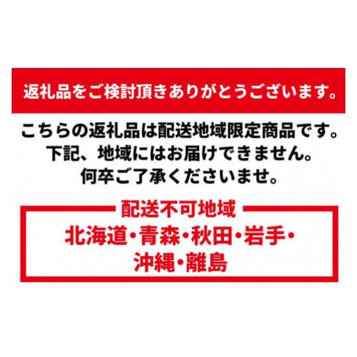 ふるさと納税 和歌山県 那智勝浦町 活 伊勢海老 1匹（約300ｇ）南紀黒潮イセエビ 年末年始 お正月 お届け可｜期間限定 漁師直送 海鮮 とれた…