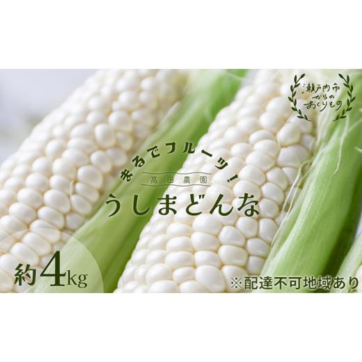 ふるさと納税 岡山県 瀬戸内市 ［2024年先行予約］ まるでフルーツ！ 生で甘い、茹でて美味い！牛窓産 白色 とうもろこし 「うしまどんな」約4kg（8〜12本入り…