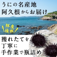 akune-2-11 あわびうにさざえうにセット(各1瓶)国産 雲丹 うに ムラサキウニ 魚介 海産物 おつまみ おかず 海鮮丼 冷蔵配送 鹿児島県産 阿久根市産2-11