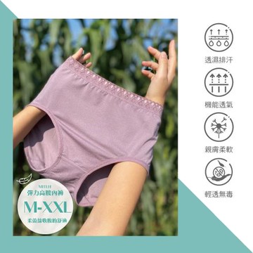 【Heimelig直立棉】MIT彈力舒柔透氣親膚中高腰蕾絲內褲MITLH (紫)