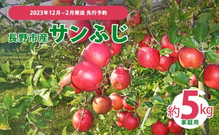 先行予約 長野市産サンふじ家庭用 約5kg 2023年12月～3月発送 ※オンライン決済限定