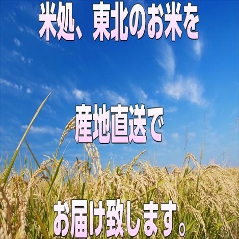 米 15kg 白米 生活応援米 エース 東北産 家庭用 業務用 白米7.5kg×2袋 送料無料