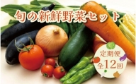 旬の新鮮野菜セットＡ（たっぷり15品以上）