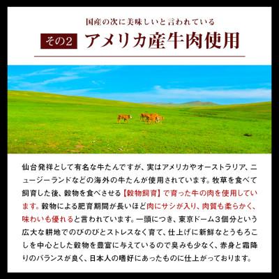 ふるさと納税 宮城県 プレミアム牛たん 500g×4袋