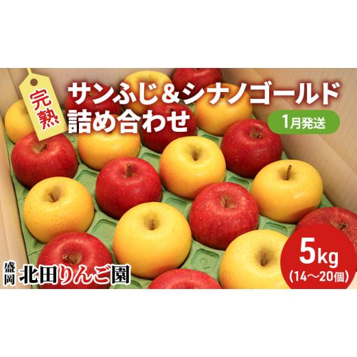 ふるさと納税 岩手県 盛岡市 盛岡北田りんご園 完熟サンふじ＆シナノゴールド詰め合わせ 約5kg（14〜20玉）