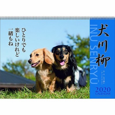 壁掛け 卓上 22カレンダー ダックス犬川柳 週めくり スケジュール いぬ Apj Vol 007 9月より発送開始 通販 Lineポイント最大get Lineショッピング