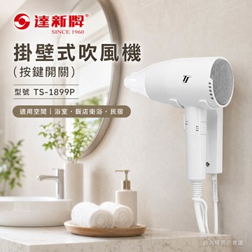 達新牌掛壁式吹風機 (按鍵開關) TS-1899P