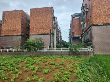 大園漂亮農地 超大面寬 臨五青路鄰近青埔 中興路｜桃園市大園區五塊厝段大埔小段
