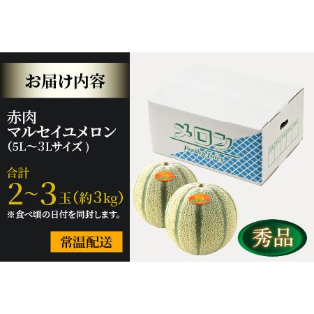 ふるさと納税 マルセイユメロン 約3kg前後《秀品》(5L〜3Ｌ 2〜3玉入）深みのある甘さ とろける濃厚な赤肉！農家直送 有機肥料 低.. 福井県あわら市