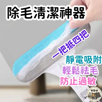 【除毛清潔神器】除毛神器 靜電除毛刷 高效除毛清潔刷 清潔專家 除毛刷 除毛清潔刷 貓咪除毛刷 寵物 除貓毛 除狗毛