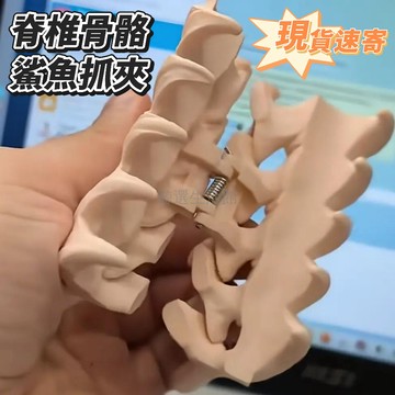 台灣出貨✨ 脊椎造型抓夾 3D打印材質 啞光質感 金屬彈簧 盤髮固定 女性日常髮飾 仿生設計鯊魚夾子頭飾髮飾 脊椎抓夾