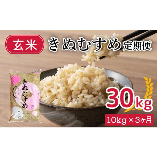 ふるさと納税 山口県 下関市  新米 令和5年産 きぬむすめ 10kg×3回 玄米 やまだ農園 豊田 下関