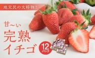 地元民の大好物「ありなしファーム」の甘～い完熟イチゴ(12パック)