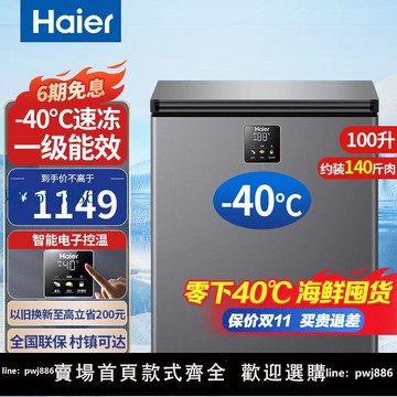 【可打統編 超低價】海爾冰柜零下40度速凍100~200L家用小型超低溫冷柜全冷凍一級微霜