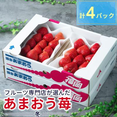 ふるさと納税 太宰府市 フルーツ専門店が選んだ「あまおう苺」冬4パック